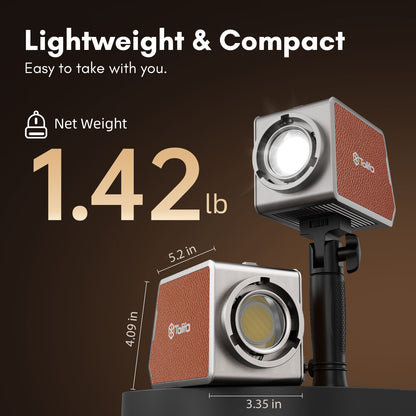 Palm Light PL-200B AC Video Light